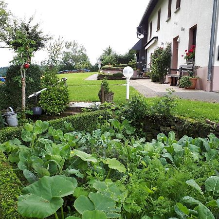Ferienwohnung Huegelhaus Plütscheid Exteriér fotografie